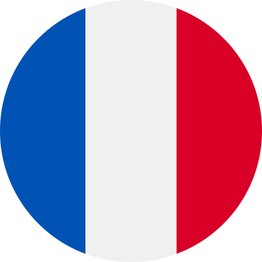 France Ligue 1